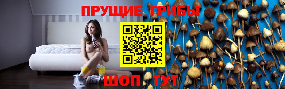 Псилоцибиновые грибы MAGIC MUSHROOMS Урай